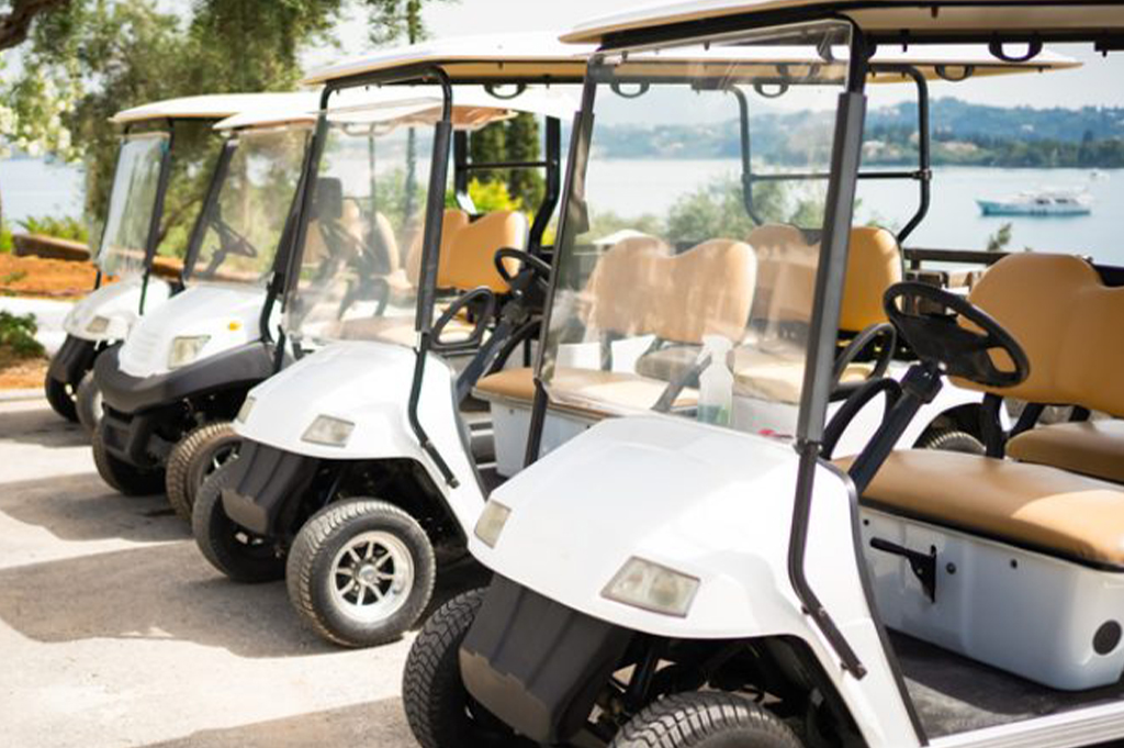 Read more about the article Mister “P” Welcomes New Business Neighbor